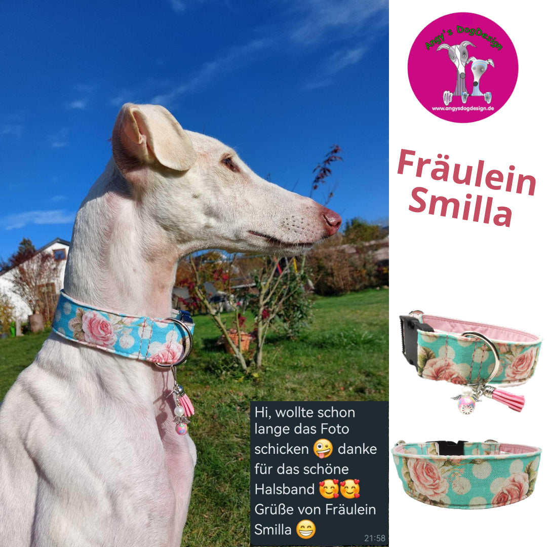 Hundehalsband Lederhalsband Paracord Zugstopp-Halsband Martingale Hundeleine Leine Lederleine Fettlederleine breites Halsband Klickverschluss Rollschnalle Ersatzbezug Flocke Hundebett Cosybed Hyggebed Donut Hundebett Flocke hundeschlafsack Hundedecke Hund Hunde Windhund luxus elegant exklusiv bequem handmade in Deutschland NRW gepolstert Softshell Brokat Dackel Dalmatiner Rhodesian Ridgeback Vizla Podenco Galgo Jagdhund Terrier Bulldogge OEB Frenchie Saluki Barsoi Labrador Cocker Kundenfoto Rosen