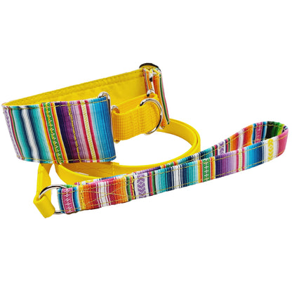 Hundehalsband "Mexico" - Martingale- Zugstopp in verschiedenen Farben