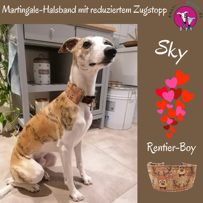 Hundehalsband "Weihnachten-Rentier-Boy" - Martingale- Zugstopp